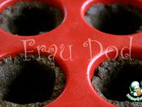 ���������� ���������-������� � ������� �������� � ����������� ����� �����������