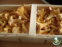 "������� �������" �����������