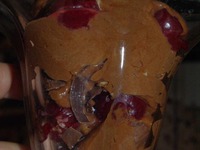 ���������� ���� "������ �����" �����������