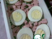 ���������� �������� �����������