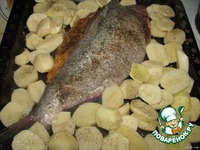 �����e���� ��� "�������" �����������