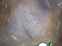 ������� �����������