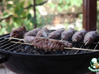 ���� ����� �����������