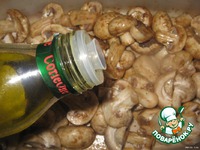 ������ �e���, �����e���� � ������������ �����������