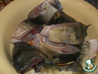 ���� � ���� �����������