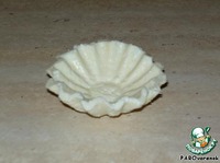 ��������� ��������� "����� ���" �����������