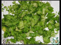 ������� �������� �����������