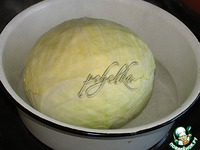 ��������-�������� "�����" � ����� �����������