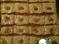 ������� ��������� �����������