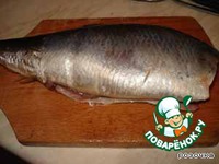 ������ ����������� �������� �����������