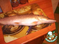 ������-��-��� �����������