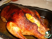 ����, ���������� � �������, ������ � ����� �����������