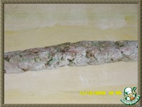 ������ � ������ ������ "�������������� �������" �����������