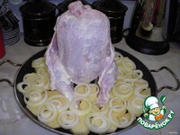 ������ �� ������� �����������