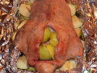 ����, ������������� �������� �����������