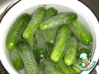 ������ ����������� �����������