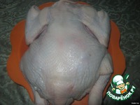 ������ ������������� "���������" �����������