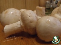 ������ � ��������� �����������