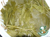 ����� �����������