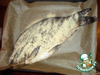 ���� ��-���������������� �����������