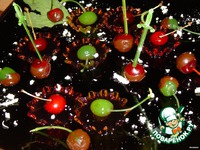 �������� ������� �����������