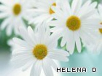 ����� "��� ����� ���... " �����������