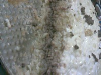 ��������� � ������� �����������