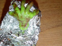 ���������� "������������ ���������" �����������