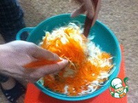 ����� �� ������� � ��������, �������� � ������ �����������