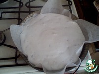 ���� ���������� � �������� � ���� �����������