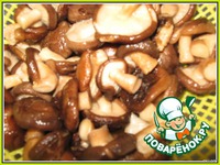 �������� � ��������� �������� �����������