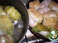 "���������" ������� �����������