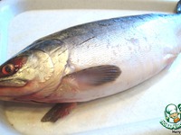 �������, �������� �� ���� �����������