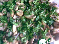 ����� "�������" �����������