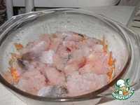 ������ ���� �����������