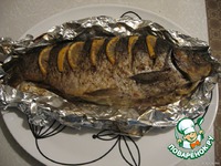 ����, ������������� ����� � ������� �����������