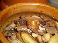 ���� � ����������� � ��������� �����������