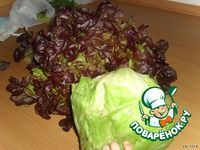 ����� � ��������� �������� �����������