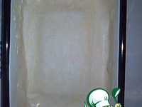 �����-�������� ���� �����������