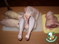 ������� �����������