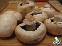 �������� � ����� �� ��������� ����� �����������