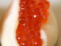 ������ ������� ��� ���������� ����� �����������