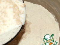 ���� �������� �����������