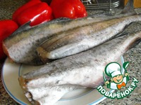 ������ "�����-����������" �����������