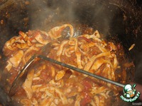 ����-���� �� �������� �����������