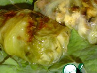 �-��  ������� �� ������ �����������