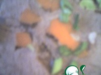 �������� ��-������� �����������