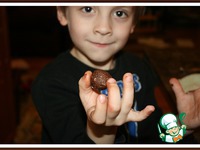 ������� "�������� �������" �����������