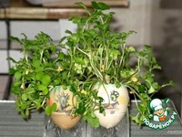 ������� ������� �����������