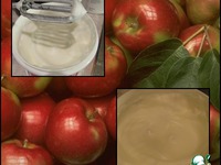 ������������� �������� ������ �����������